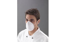 Non Woven Preformed Nuisance Masks